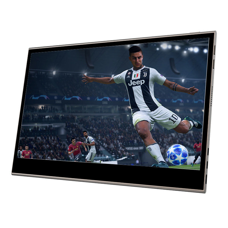 होपस्टार 15.6 इंच बैटरी संचालित पोर्टेबल टच स्क्रीन मॉनिटर